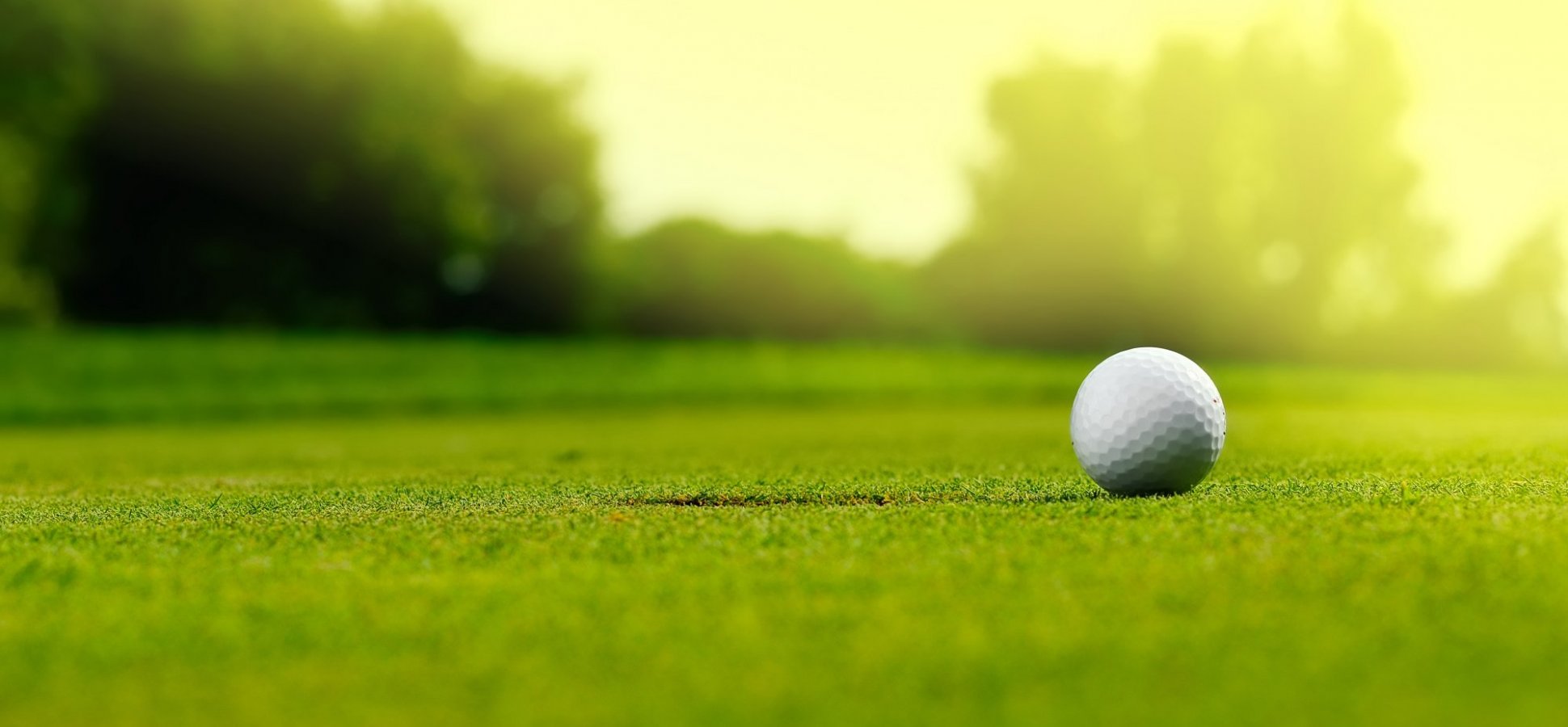 best golf balls for beginners